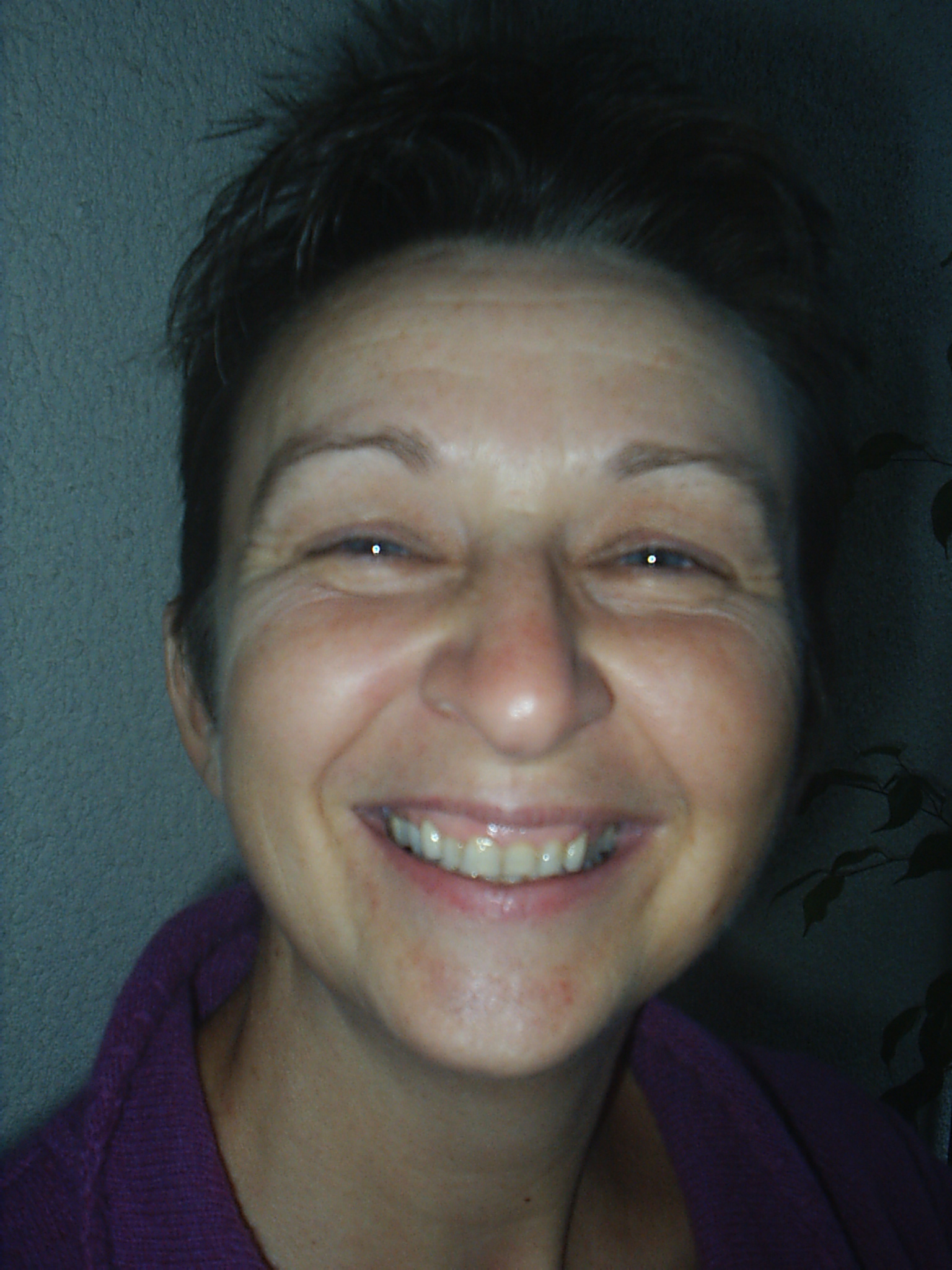 plaatje
